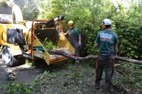 tree services Altona